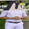 Peregrine_ST