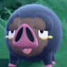 chonky boi