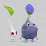 Spheal boi