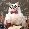 Unconventional Cat