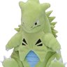 It's Tyranitover
