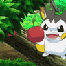 Paku
