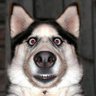 shadowhooh
