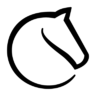 lichess