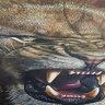 Metang's Left Toe