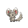 Kiwi_33