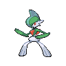 CofiKozaa