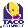 TacoDerp