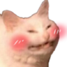 Sk1tt3n