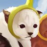 stormiines