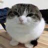 MegaJoules