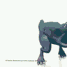 Catdude1234
