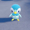 pliplupp