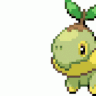 shawtle
