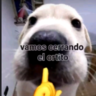 fabian_2334