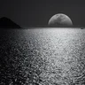 Ninjarod04