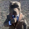 Used2BeAgent