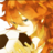 Rayleigh