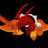 TheMetaPhoenix