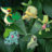 Thesurfing Snivy