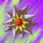 SpinningStar