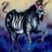 Zebra_Lord