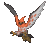 Talonflame