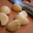 Stealth Garlic