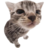 nui