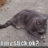 Jayfeather2014