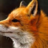 Foxtrout