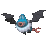 The Swoobat