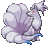 NinetailsExpert