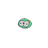 Euglena