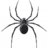 SpiderKoloPL