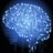 BigBluBrain