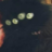 Chirou's Shadow