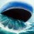 The Beached Wailord