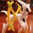ThePiedPipecleaner
