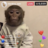MrSoup