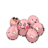 NovaDrqgon