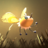 CheesyCore