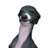 Dyleta