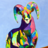 Aron Ram