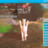 Shyfoox