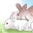 Rabbit_Soup_