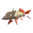 KingTrout