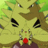 TipsyTyranitar
