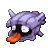 shellderLvX