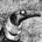 gorm